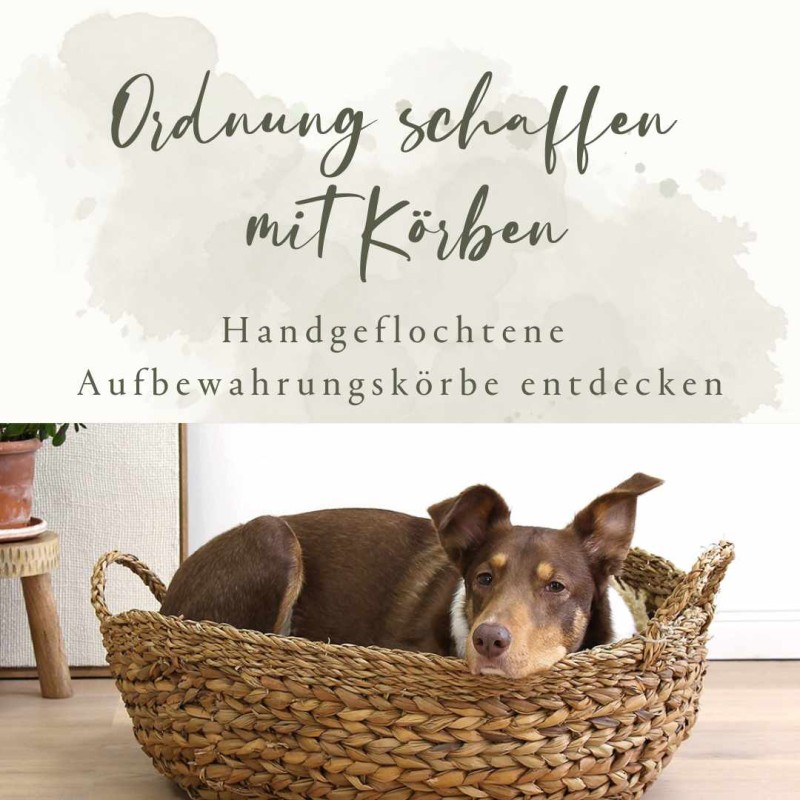 Körbe