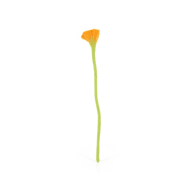 Blume ORANGE, Filz