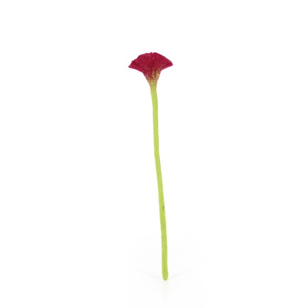 Blume PFINGSTROSENROT, Filz